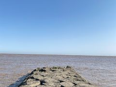 -南汇新城海滩