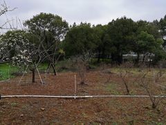 -苏州上方山国家森林公园