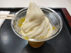杨枝甘露豆乳新地-永和大王·现磨豆浆·卤肉饭(九亭SH085店)