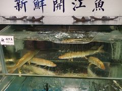 水产区-胖姐渔村(中源大道店)