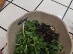 -品鱻黑豆花美蛙鱼(西政店)