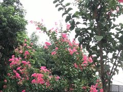 -民心佳园(地铁站)