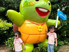 -广东惠东海龟国家级自然保护区