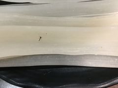 -超越炭火牛蛙火锅鸡(河东店)