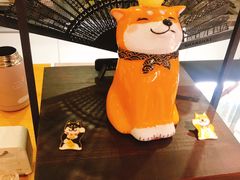 -柴务处·柴犬主题狗咖