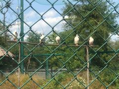 -秦皇岛野生动物园