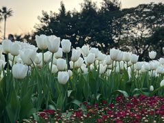 -厦门园林博览苑