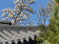 -方岩风景区