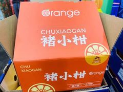 -沈阳市八家子水果批发市场