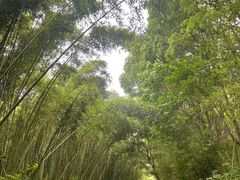 -同里国家湿地公园