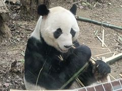 -柳州市动物园