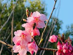 -东方绿舟景区