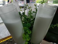 -探窝·竹笙椰子鸡(杨箕店)