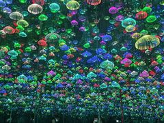 -郑州梵高星空错觉艺术馆(大上海城旗舰店)