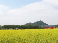 -光明小镇欢乐田园