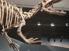 -自贡恐龙博物馆