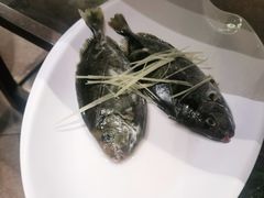 -青蓬蒸汽海鲜·深圳老字号·团建聚会(壹方城店)