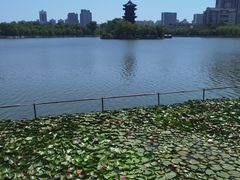 -迎泽公园