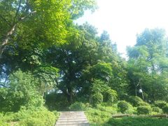 -晓港公园