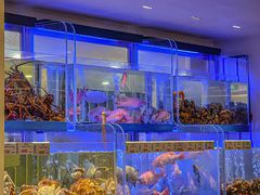 -南海渔村(珠江新城店)