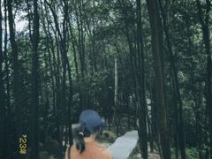 -火炉山森林公园