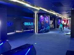-SFC上影影城(港汇永华IMAX激光店)