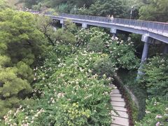 -金鸡山公园