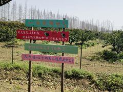 -前小桔亲子创意农场·草莓采摘·露营烧烤