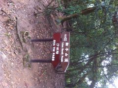 iphone_upload_pic-狮子山郊野公园