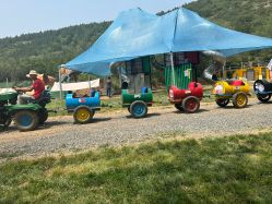 -浅山蜜塘奇妙乐园·亲子营地