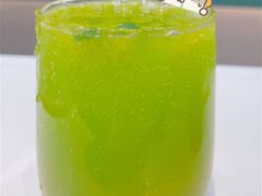 -飞行喵MR PILOT|猫舍·猫咖(静安大融城店)
