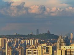 -南山植物园