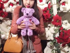 -济州岛泰迪熊博物馆