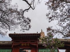 -白塔山公园