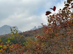 -周口店坡峰岭风景区