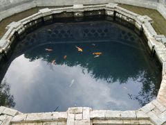 -习家池