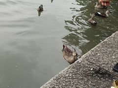 -杭州黄龙洞