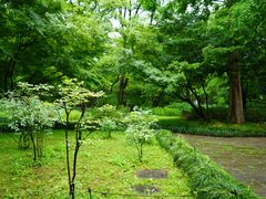 -杭州植物园