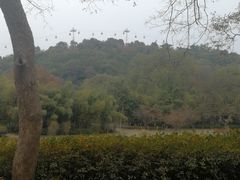 -东湖磨山景区