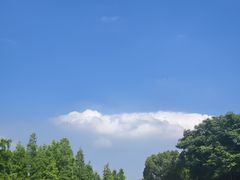 -习家池