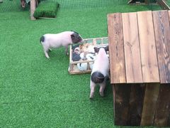 -大族广场Mall&More