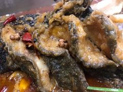 -新珠城鱼坊(龙湖店)