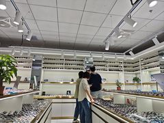-北京眼镜城