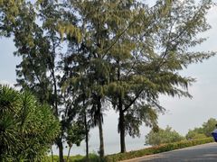 -深圳湾公园(南山区)
