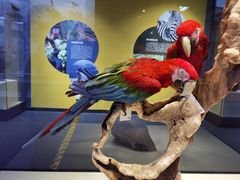 -国家自然博物馆