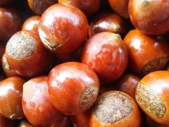 android_upload_pic-邢记板栗(铜陵二店)