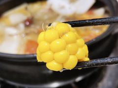 -九寨特色牦牛肉汤锅 羊肉汤锅