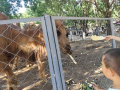 -长白岛森林公园