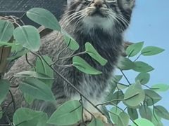 -青藏高原野生动物园