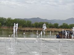 -长兴太湖图影湿地文化园